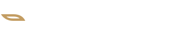 Logo smartside blanc storytelling