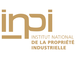 Logo inpi or