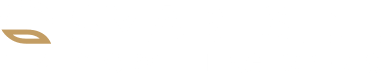 logo smartside storytelling